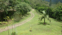 Parc des Grandes Fougères